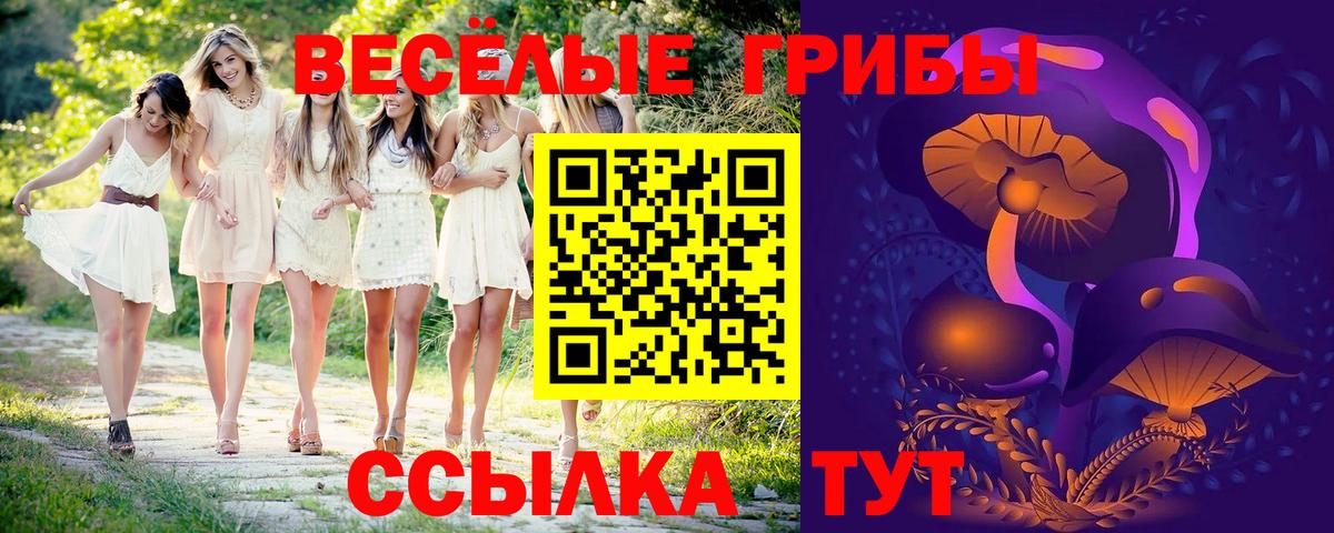 Кувандык  Галлюциногенные грибы мухоморы  Вход с VPN 